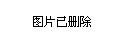 忻州公安网11月1日最新动态，日常温暖与趣事友情回顾