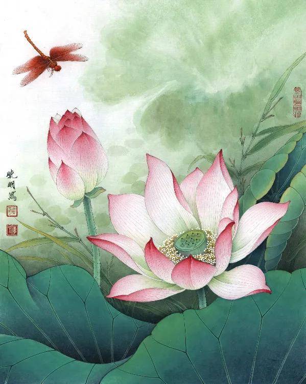 荷花新篇，画笔绘人生，成长与成就并行的自信篇章（11月4日最新作品）