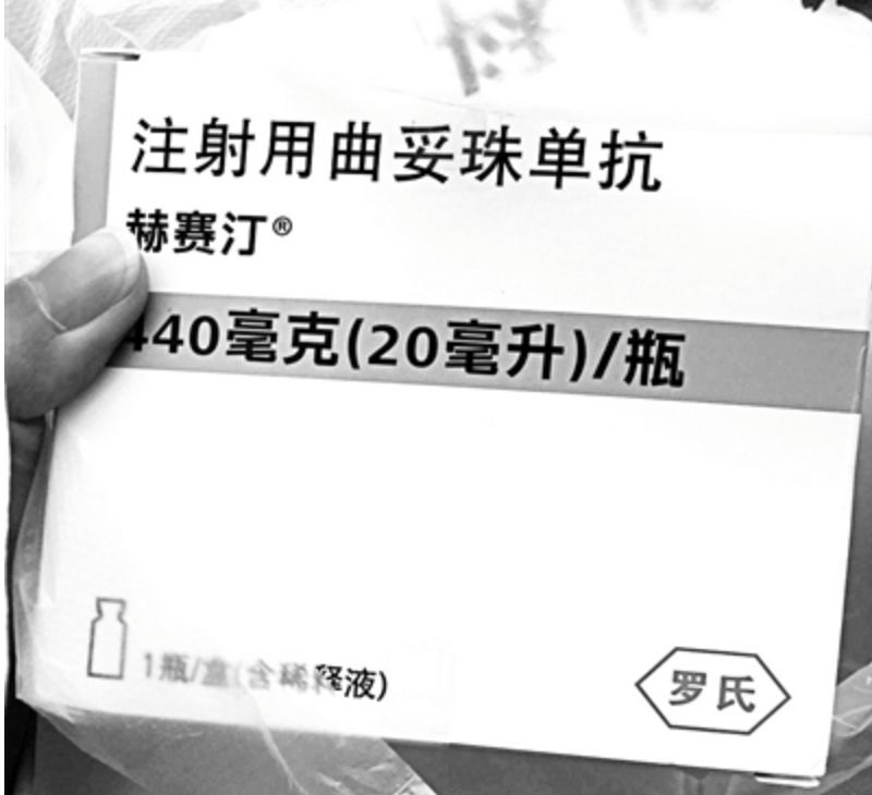 赫赛汀最新价格动态，回顾与展望 2024年11月10日