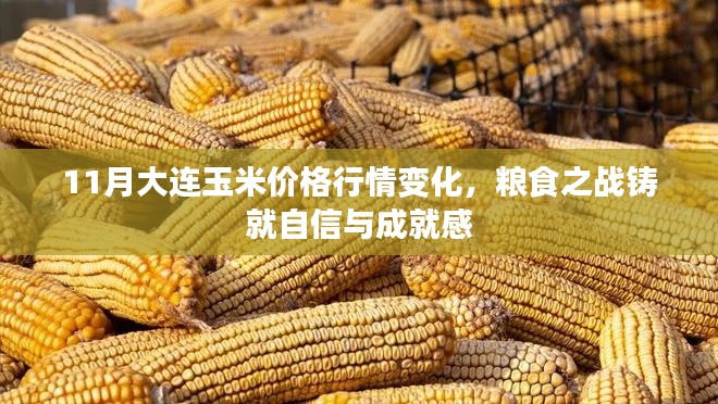 11月大连玉米价格行情变化，粮食之战铸就自信与成就感