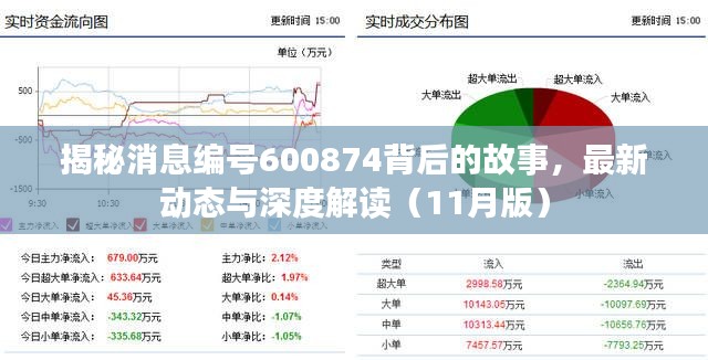 揭秘消息编号600874背后的故事，最新动态与深度解读（11月版）