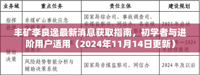 丰矿李良逸最新消息获取指南，初学者与进阶用户适用（2024年11月14日更新）