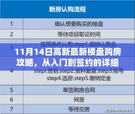 11月14日高新最新楼盘购房攻略，从入门到签约的详细步骤指南