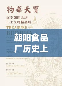 朝阳食品厂历史上的11月14日最新招工信息深度解析与介绍