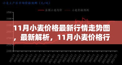 11月小麦价格行情解析与走势图，最新动态及影响因素探讨