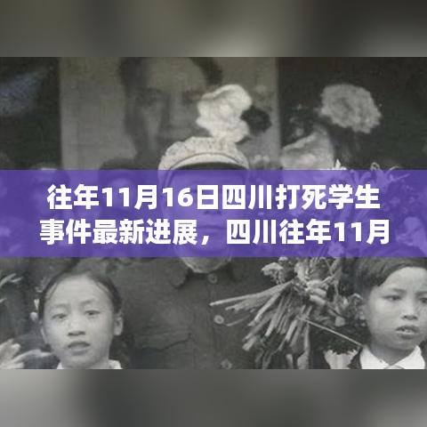 四川往年11月16日学生死亡事件最新进展深度解析与探讨