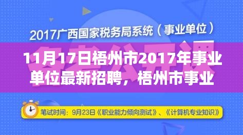 梧州市事业单位招聘盛启，最新招聘深度解析与职场新星招募（11月17日）