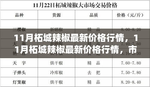 11月柘城辣椒价格行情分析及市场走势预测