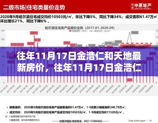 往年11月17日金浩仁与天地楼盘房价走势分析，最新数据与趋势解析