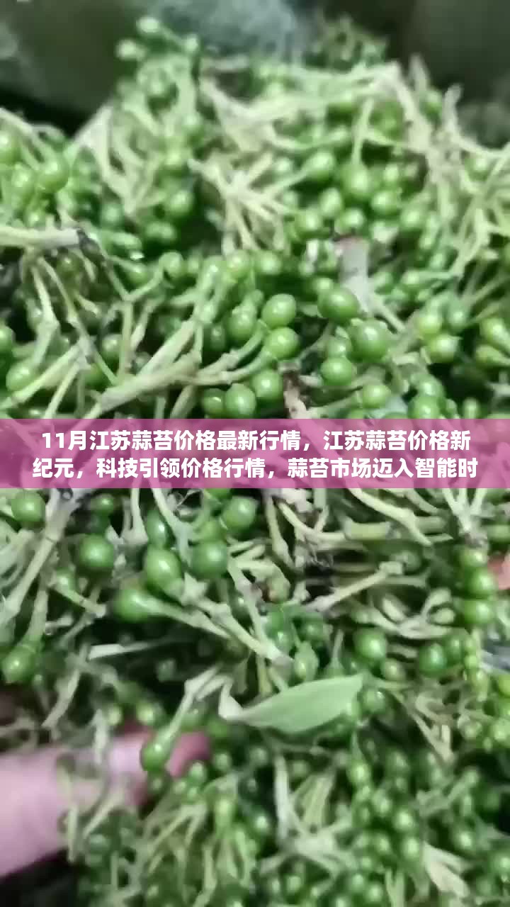 江苏蒜苔价格新纪元，科技引领智能市场行情的变革