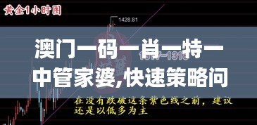 澳门一码一肖一特一中管家婆,快速策略问题解决_RPA7.45.47四喜版