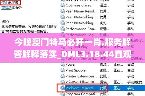 今晚澳门特马必开一肖,服务解答解释落实_DML3.18.44直观版