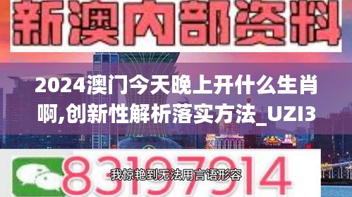 2024澳门今天晚上开什么生肖啊,创新性解析落实方法_UZI3.52.82魔力版