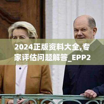 2024正版资料大全,专家评估问题解答_EPP2.60.97数字版