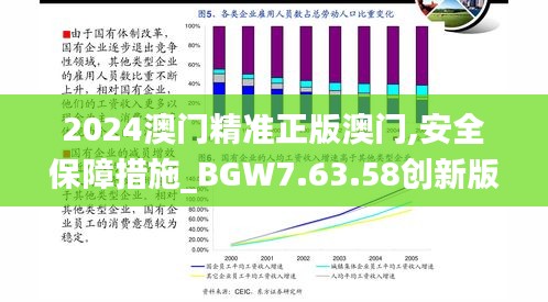 2024澳门精准正版澳门,安全保障措施_BGW7.63.58创新版