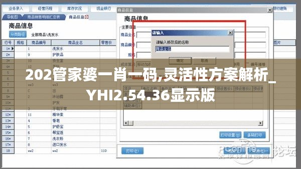 202管家婆一肖一码,灵活性方案解析_YHI2.54.36显示版