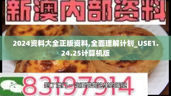 2024资料大全正版资料,全面理解计划_USE1.24.25计算机版