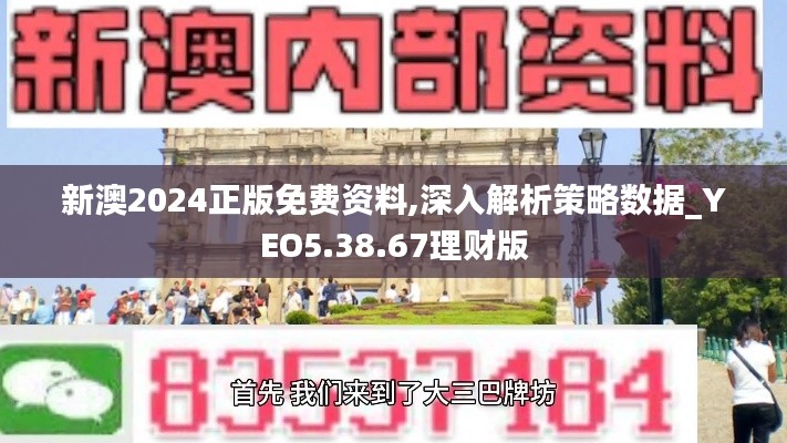 新澳2024正版免费资料,深入解析策略数据_YEO5.38.67理财版