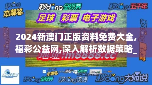 2024新澳门正版资料免费大全,福彩公益网,深入解析数据策略_MAK3.46.49复制版