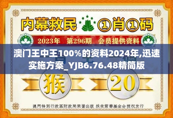 澳门王中王100%的资料2024年,迅速实施方案_YJB6.76.48精简版