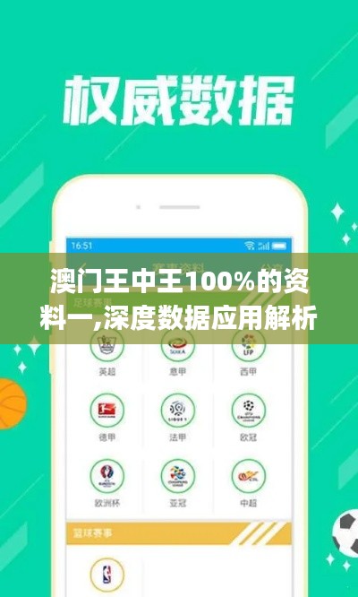 澳门王中王100%的资料一,深度数据应用解析_KXT9.22.43调整版