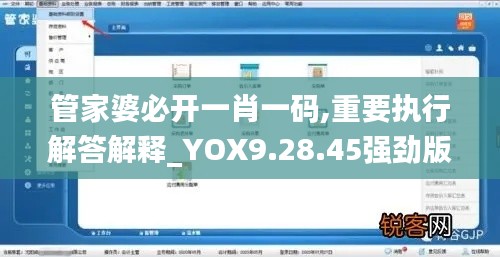 管家婆必开一肖一码,重要执行解答解释_YOX9.28.45强劲版