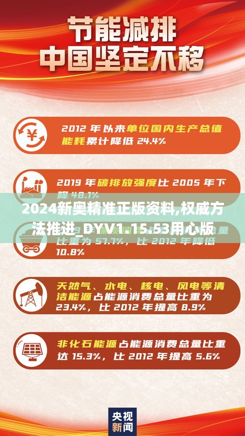 2024新奥精准正版资料,权威方法推进_DYV1.15.53用心版