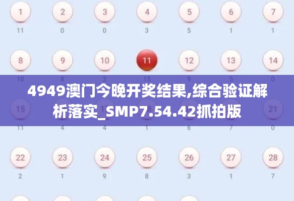 4949澳门今晚开奖结果,综合验证解析落实_SMP7.54.42抓拍版