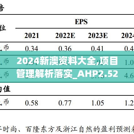 2024新澳资料大全,项目管理解析落实_AHP2.52.61图形版