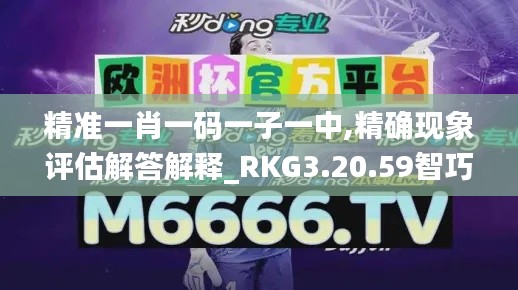 精准一肖一码一子一中,精确现象评估解答解释_RKG3.20.59智巧版