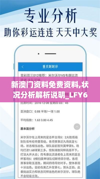 新澳门资料免费资料,状况分析解析说明_LFY6.50.67严选版