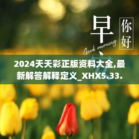 2024天天彩正版资料大全,最新解答解释定义_XHX5.33.28配送版