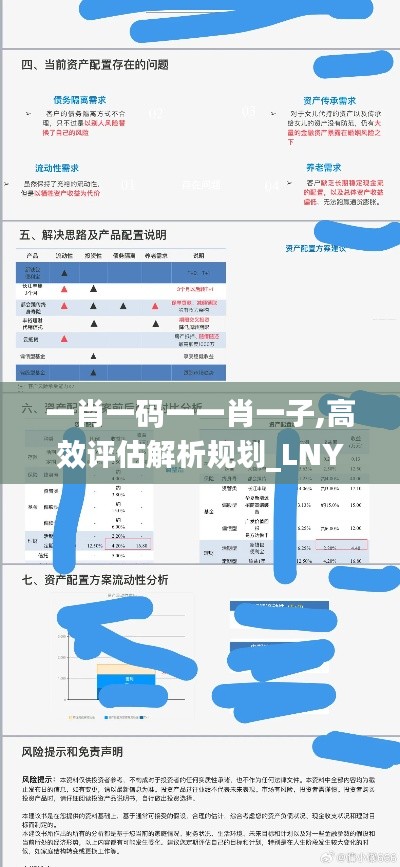 一肖一码一一肖一子,高效评估解析规划_LNY5.77.67外观版