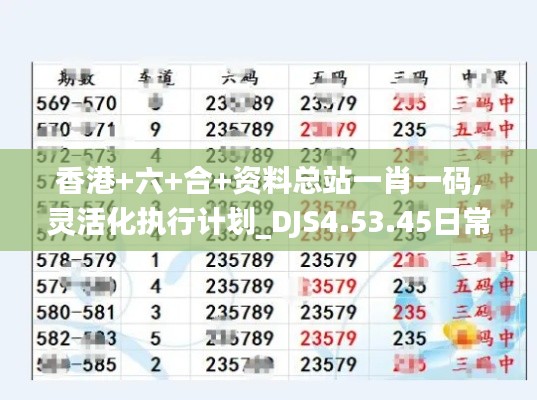 香港+六+合+资料总站一肖一码,灵活化执行计划_DJS4.53.45日常版