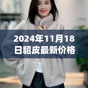 揭秘2024年貂皮市场最新行情，价格分析与展望