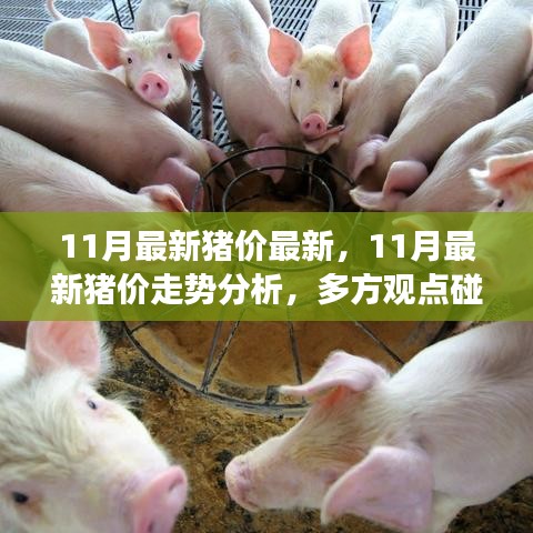 多方观点碰撞与个人立场阐述，11月最新猪价走势深度分析