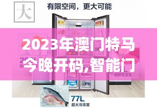 2023年澳门特马今晚开码,智能门禁方案_SYJ8.39.68流线型版