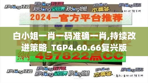 白小姐一肖一码准确一肖,持续改进策略_TGP4.60.66复兴版