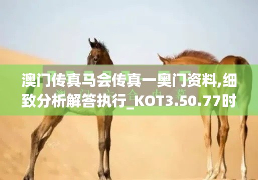 澳门传真马会传真一奥门资料,细致分析解答执行_KOT3.50.77时刻版