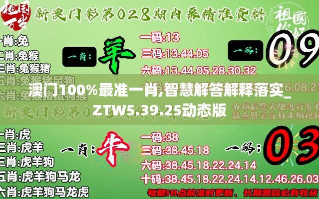 澳门100%最准一肖,智慧解答解释落实_ZTW5.39.25动态版