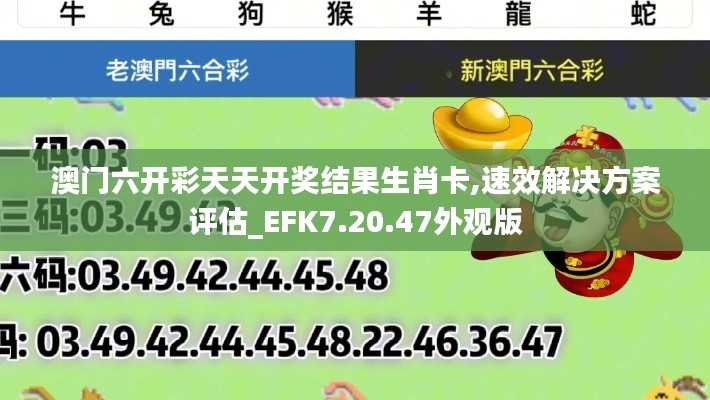 澳门六开彩天天开奖结果生肖卡,速效解决方案评估_EFK7.20.47外观版