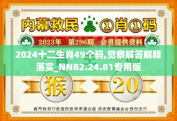 2024十二生肖49个码,觉察解答解释落实_NNB2.24.81专用版