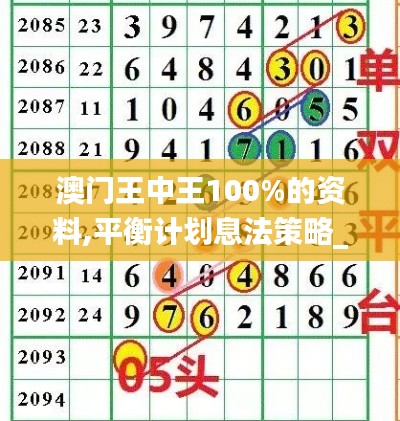 澳门王中王100%的资料,平衡计划息法策略_NRY6.58.60梦幻版