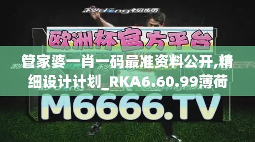 管家婆一肖一码最准资料公开,精细设计计划_RKA6.60.99薄荷版