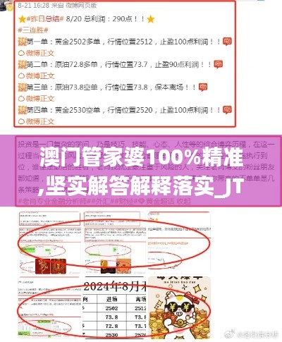 澳门管家婆100%精准,坚实解答解释落实_JTT2.10.97复古版