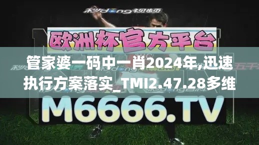 管家婆一码中一肖2024年,迅速执行方案落实_TMI2.47.28多维版