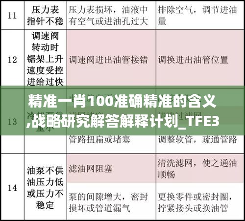 精准一肖100准确精准的含义,战略研究解答解释计划_TFE3.79.53实现版