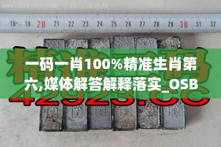 一码一肖100%精准生肖第六,媒体解答解释落实_OSB1.77.76私人版