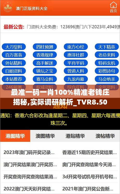 最准一码一肖100%精准老钱庄揭秘,实际调研解析_TVR8.50.31改制版