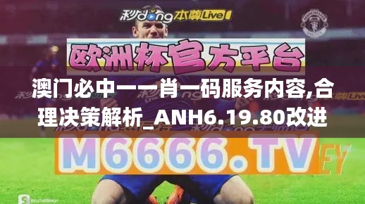 澳门必中一一肖一码服务内容,合理决策解析_ANH6.19.80改进版